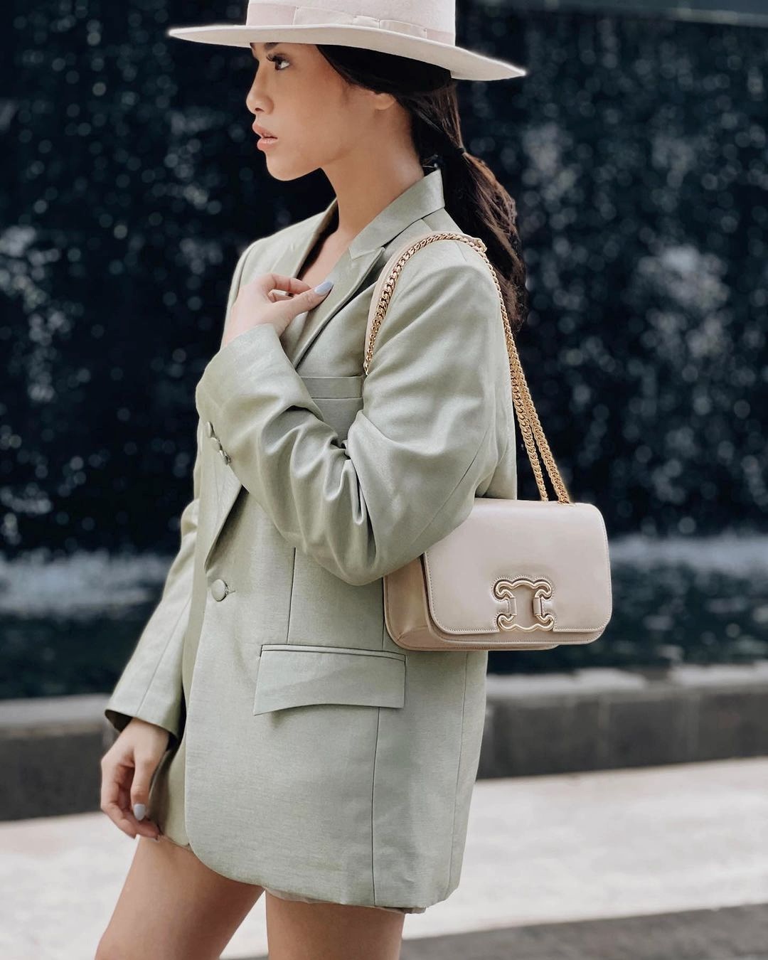 CELINE Triomphe Medium Frame Bag – torebka - obrazek 2