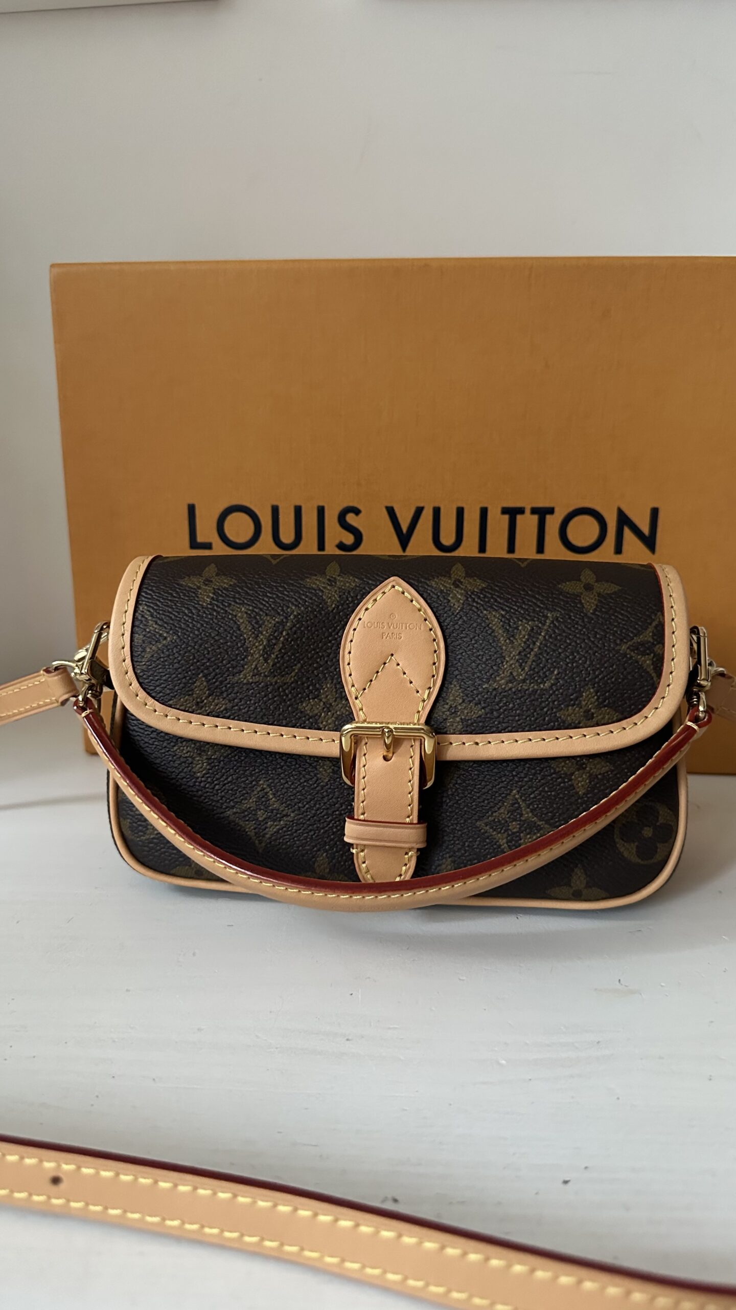 Louis Vuitton Nano Diane monogram - obrazek 2