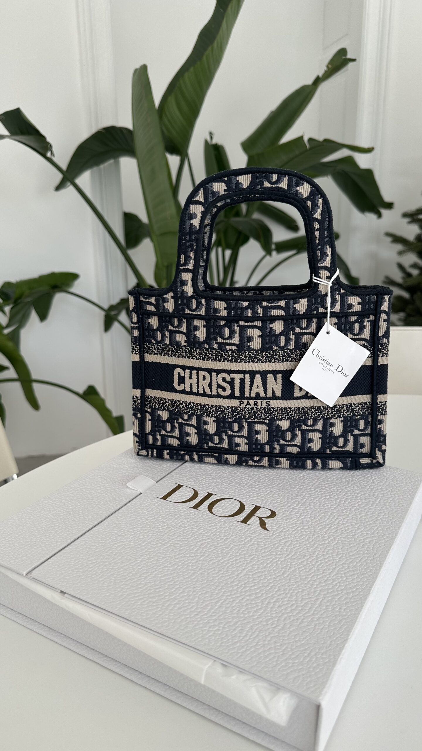 Dior Monogram Mini Book torebka