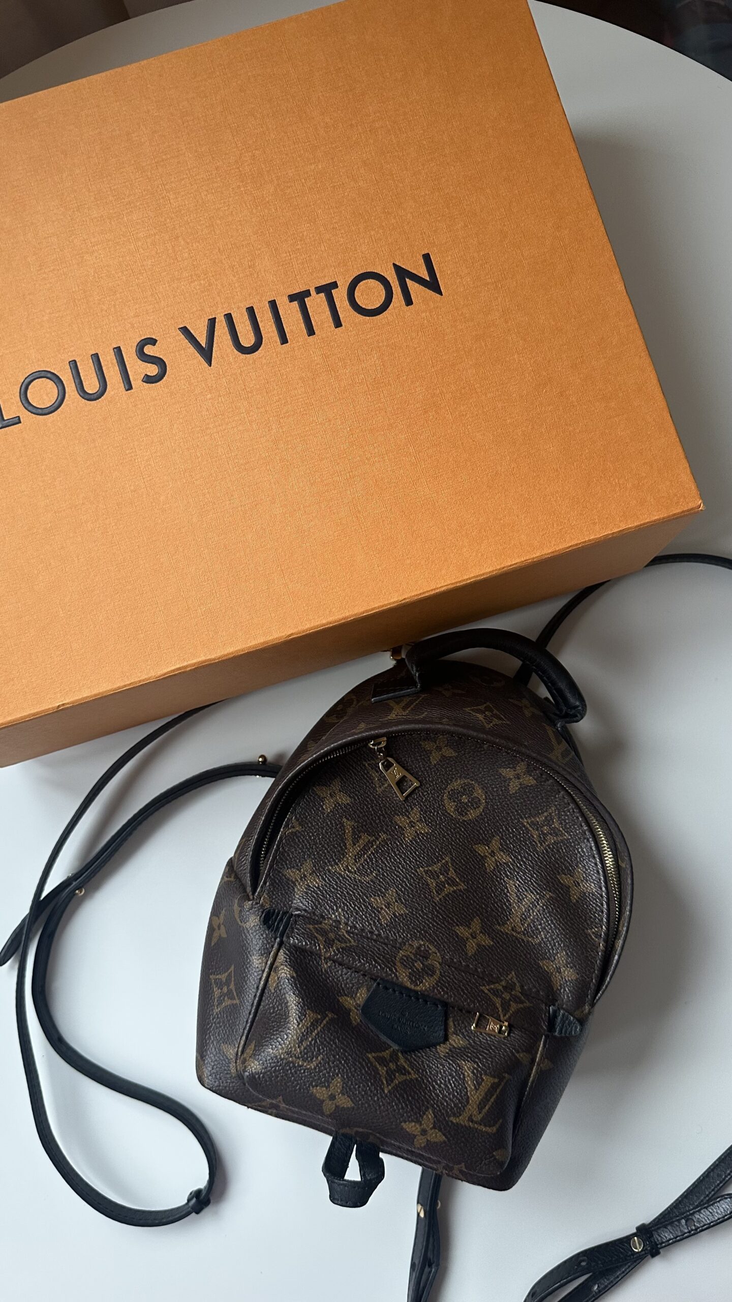 Louis Vuitton Palm Springs mini plecak monogram canvas - obrazek 7