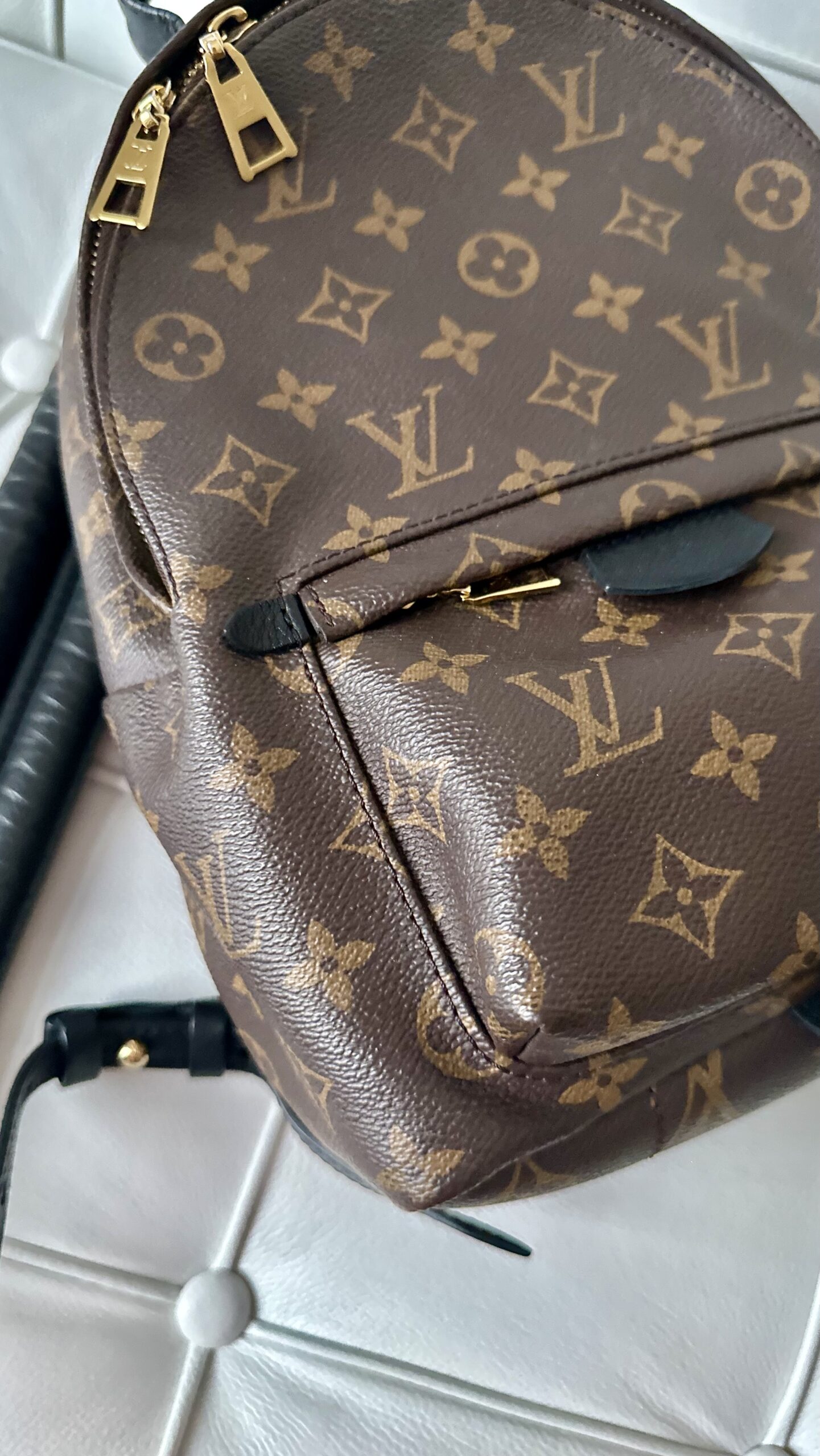 Louis Vuitton Palm Springs Pm plecak monogram canvas - obrazek 6