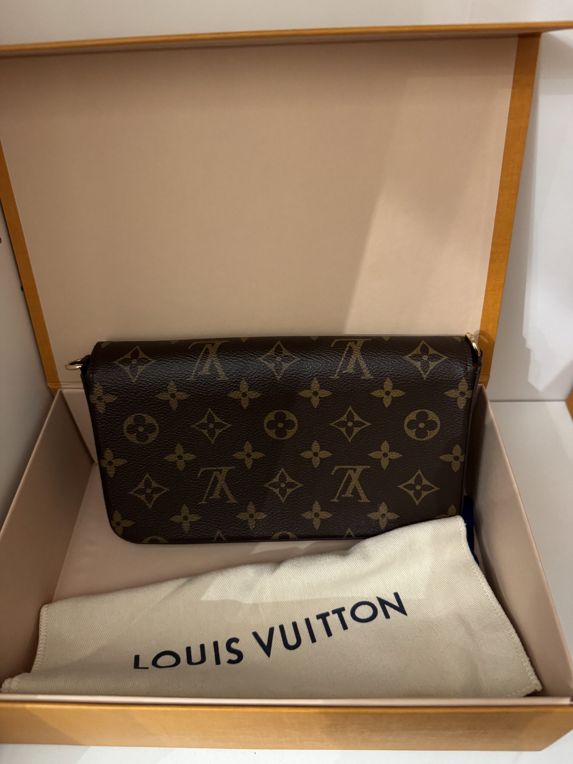 Louis Vuitton Felicie Pochette torebka - obrazek 2