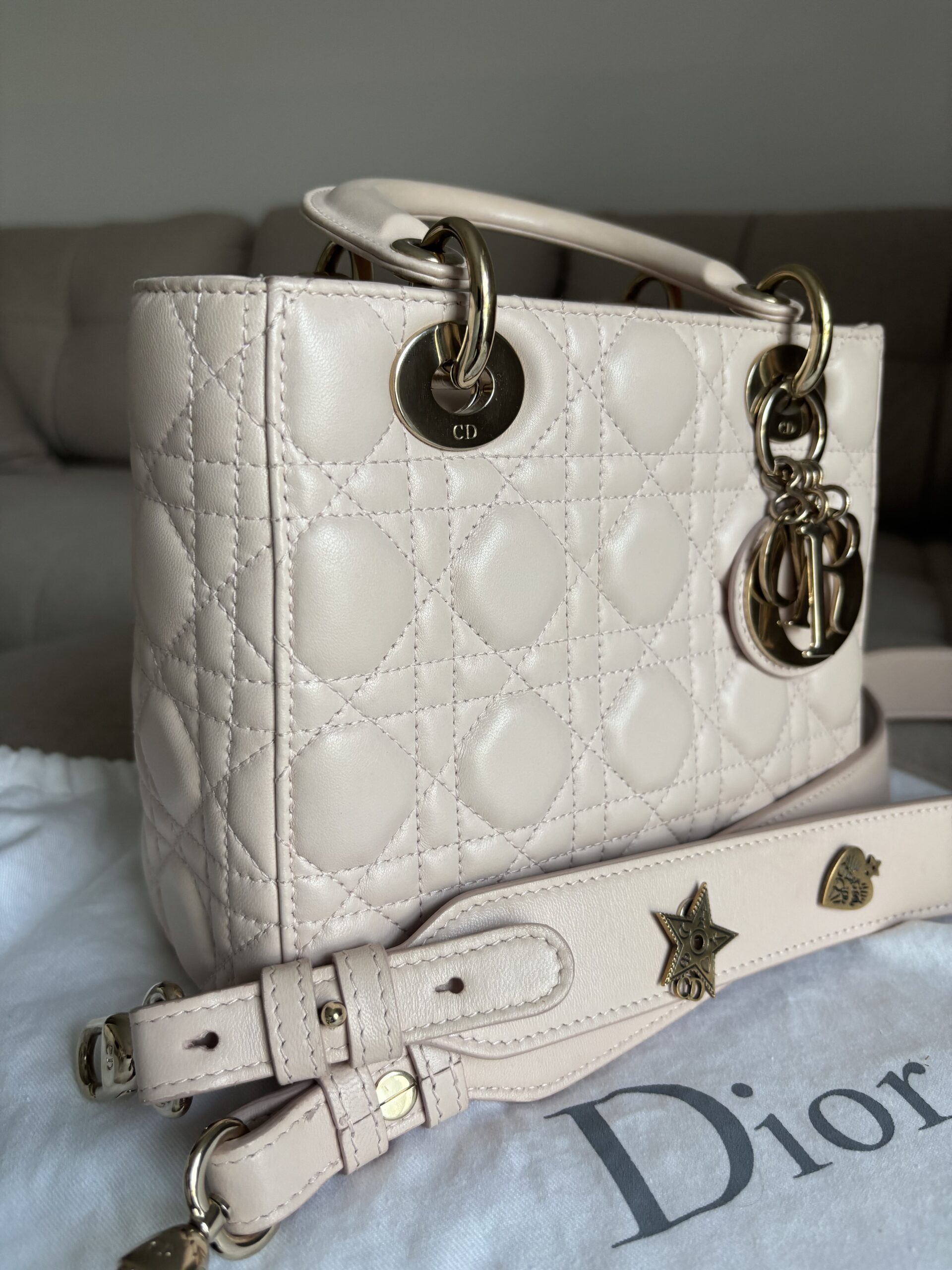 Torebka dior lady dior small szeroki pasek z przypinkami - obrazek 3