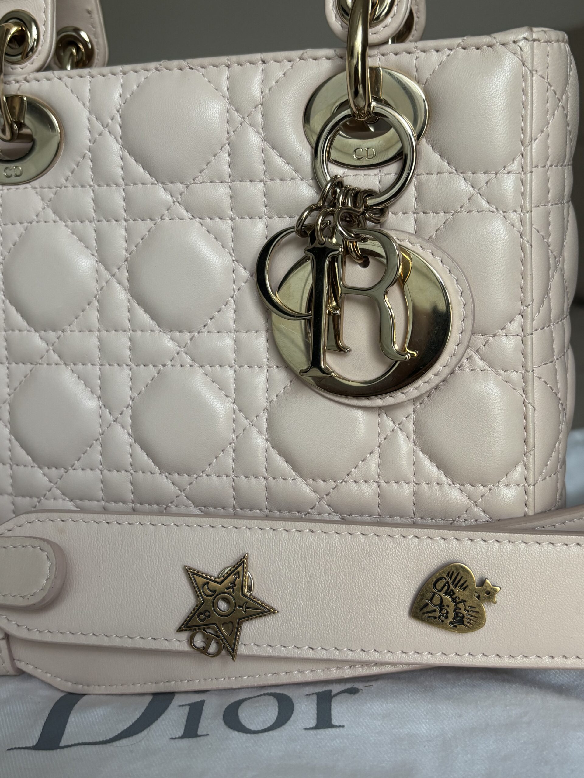 Torebka dior lady dior small szeroki pasek z przypinkami - obrazek 4