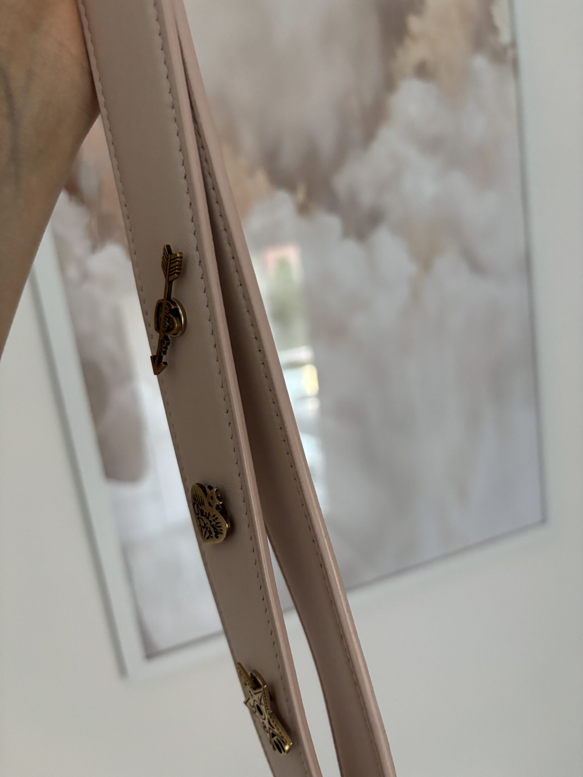 Torebka dior lady dior small szeroki pasek z przypinkami - obrazek 17